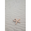 Sea star Mandy - Bilde 3