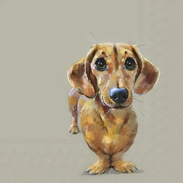 Dog Buddy (lunsj servietter)