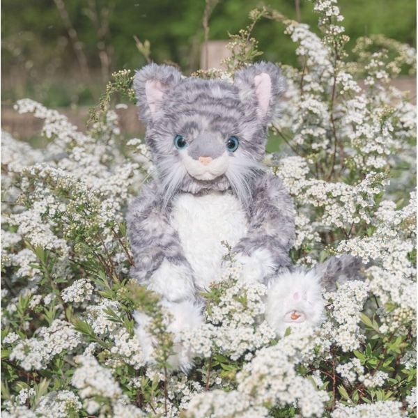 Esmeralda katt Bamse - Bilde 2