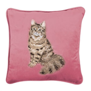 Feline Fabulous cat, brodert pute