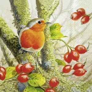 Servietter: Robin in the forrest (lunsj)