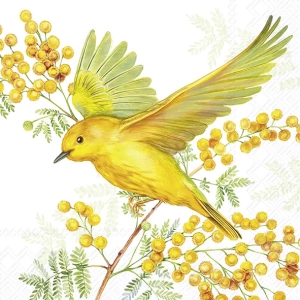 Servietter: Joy Of Spring Light Green (kaffe)