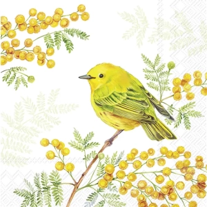 Servietter: Servietter: Joy Of Spring Light Green (lunsj)