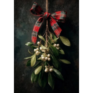 Plakat A3 "Misteltein"