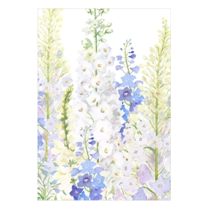 Kort: Delphiniums