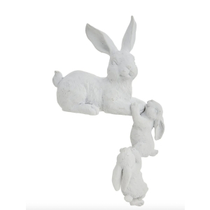 Selille kaniner, hvit