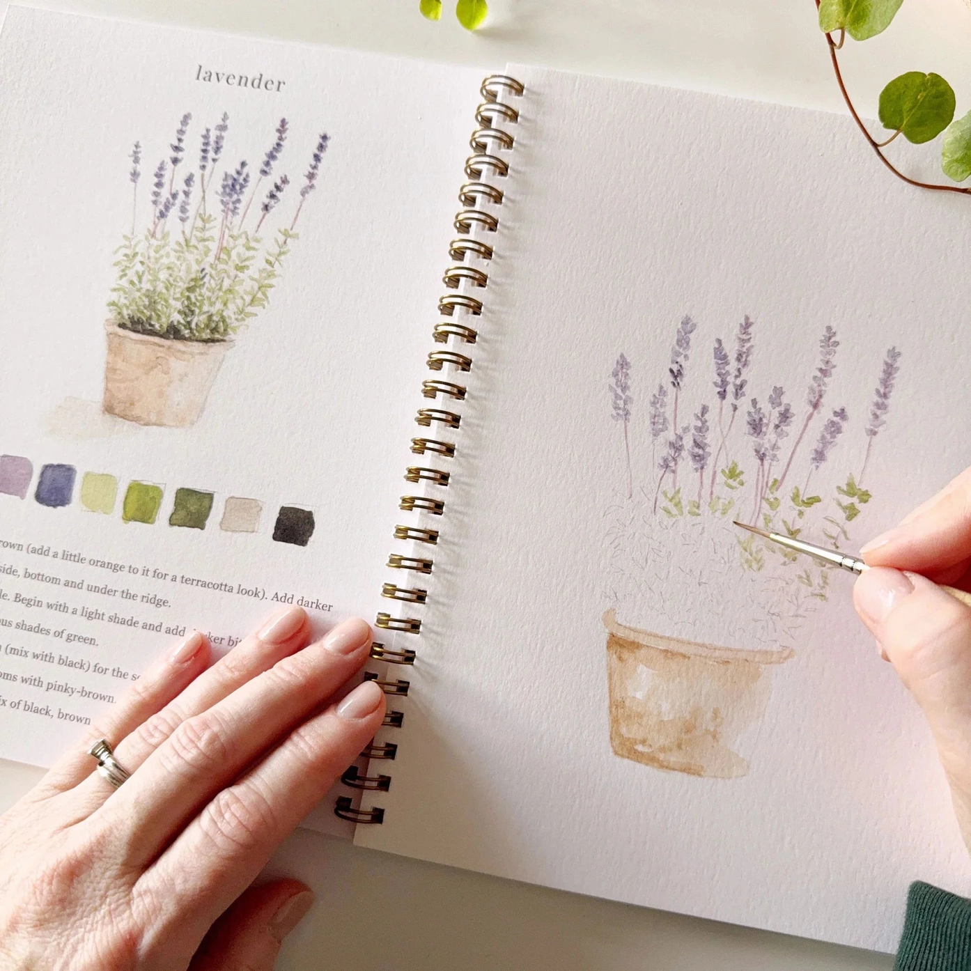 Garden Watercolor Workbook - Bilde 7