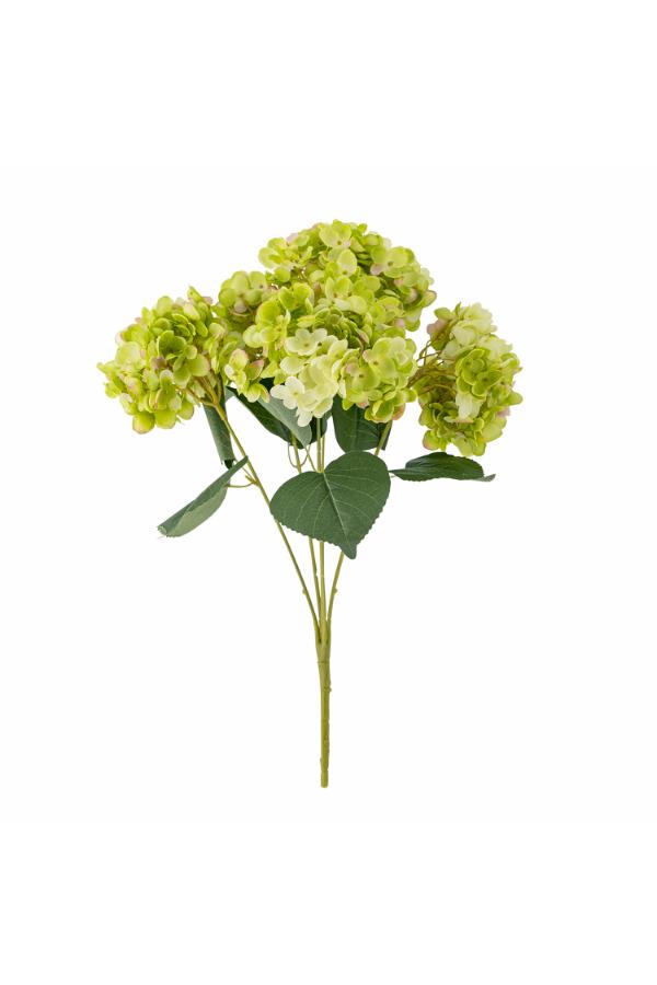 Hydrangea Stilk (Hortensia gren)
