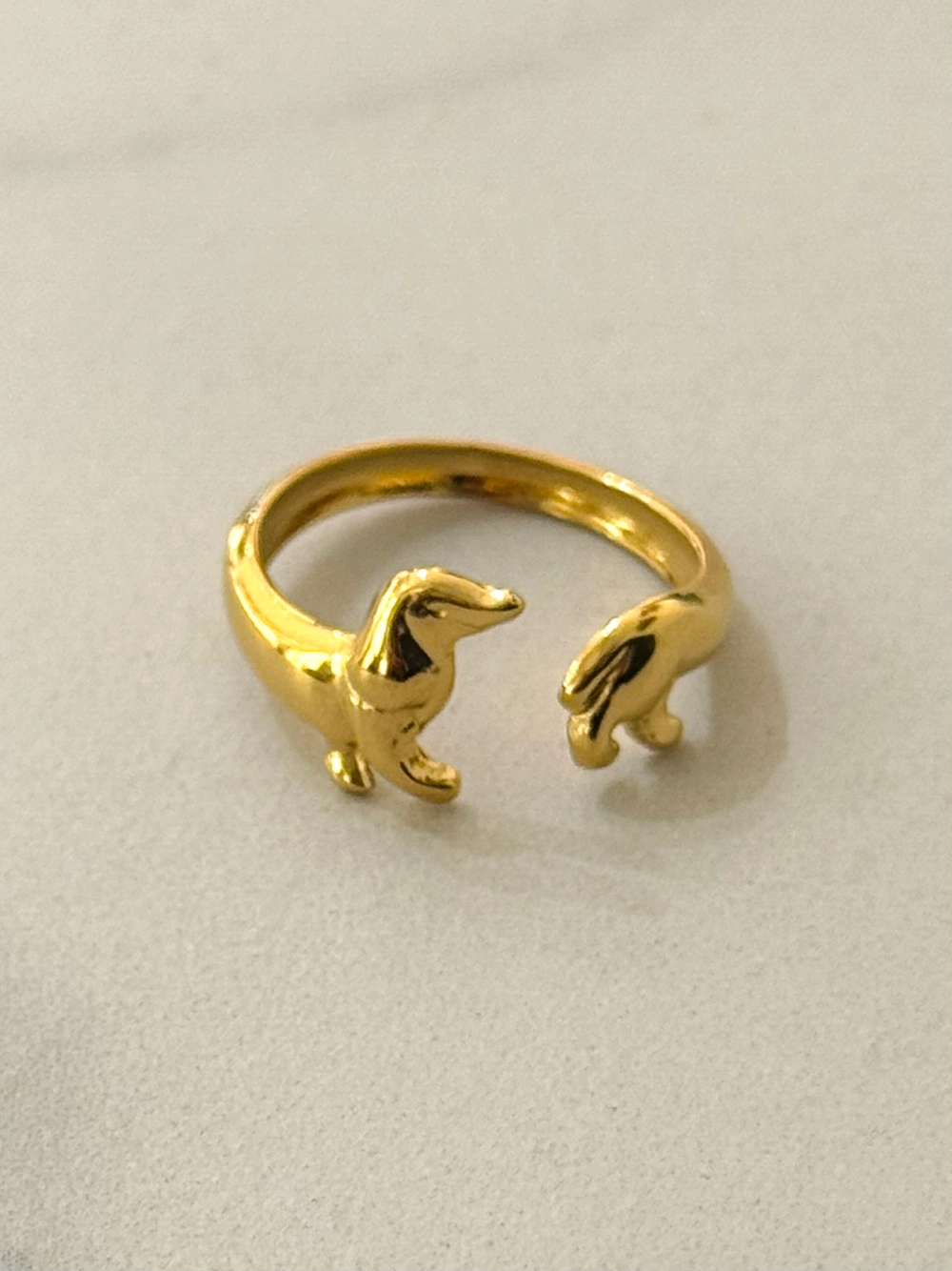 Dachs ring - Bilde 3