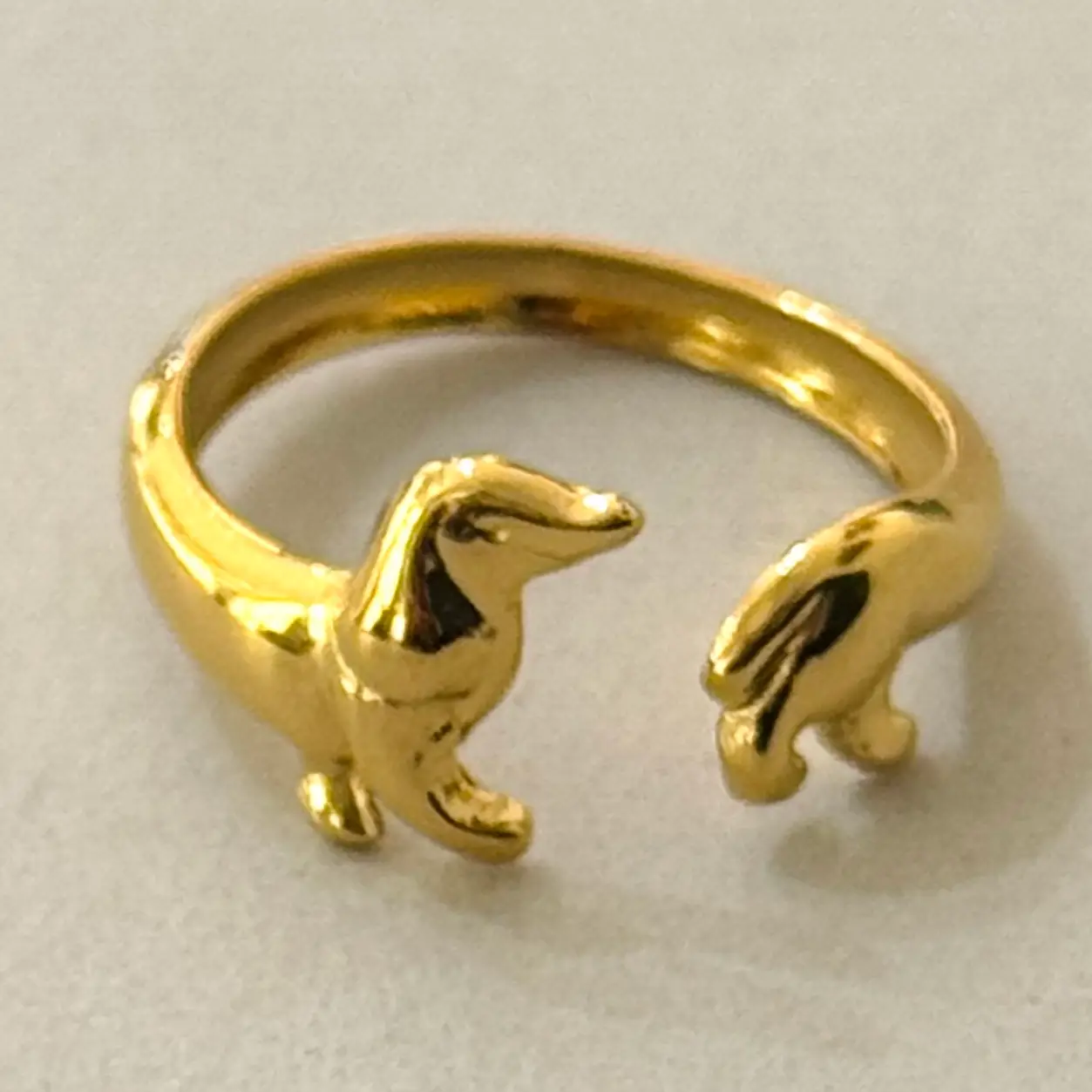 Dachs ring