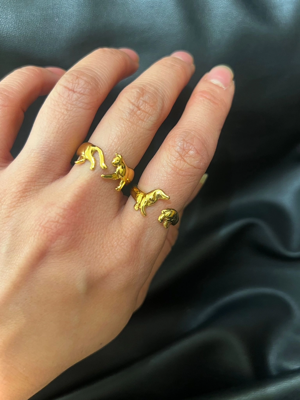 Dachs ring - Bilde 2