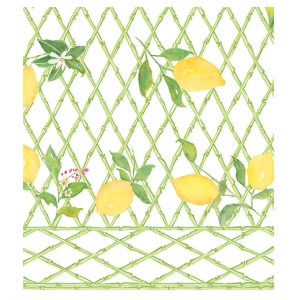 Limoncello duk