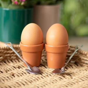 Plant Pot Eggeglass og spader (skjeer)