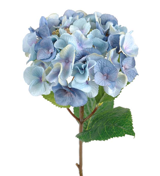 Hortensia, blå (45 cm)