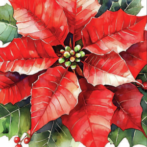 Juleservietter Festive poinsettia (buffet)
