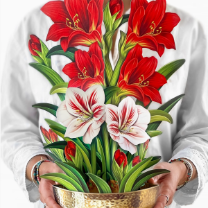 3D Julekort: Scarlet Amaryllis