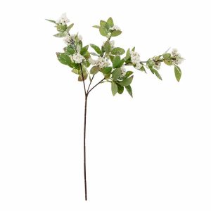 Snowberry gren