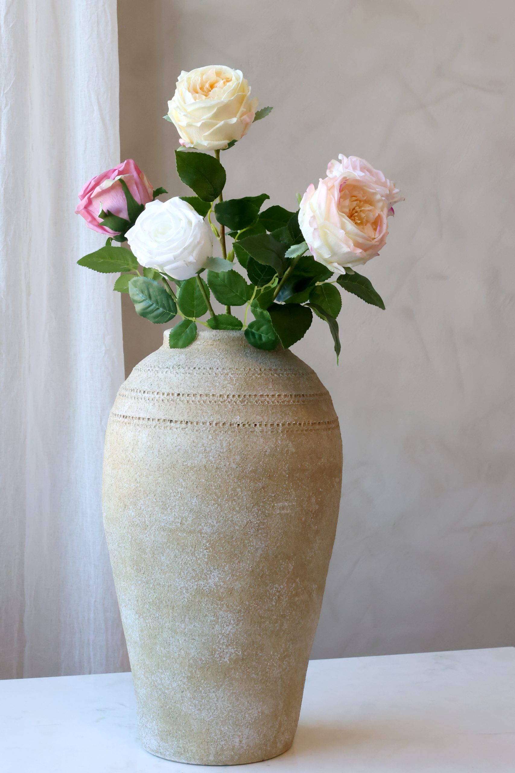 Hvit rose - Bilde 4