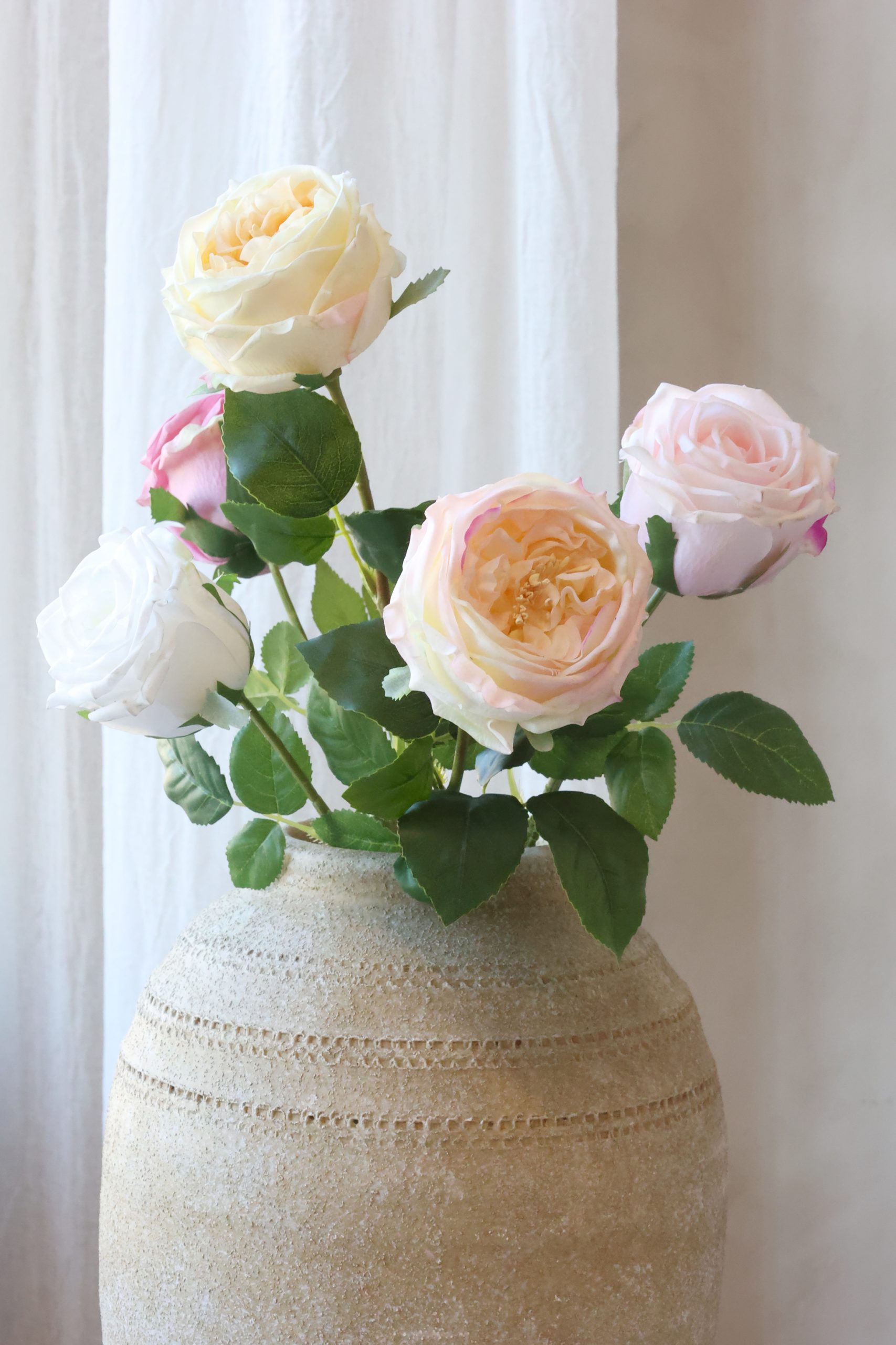 Hvit rose - Bilde 3