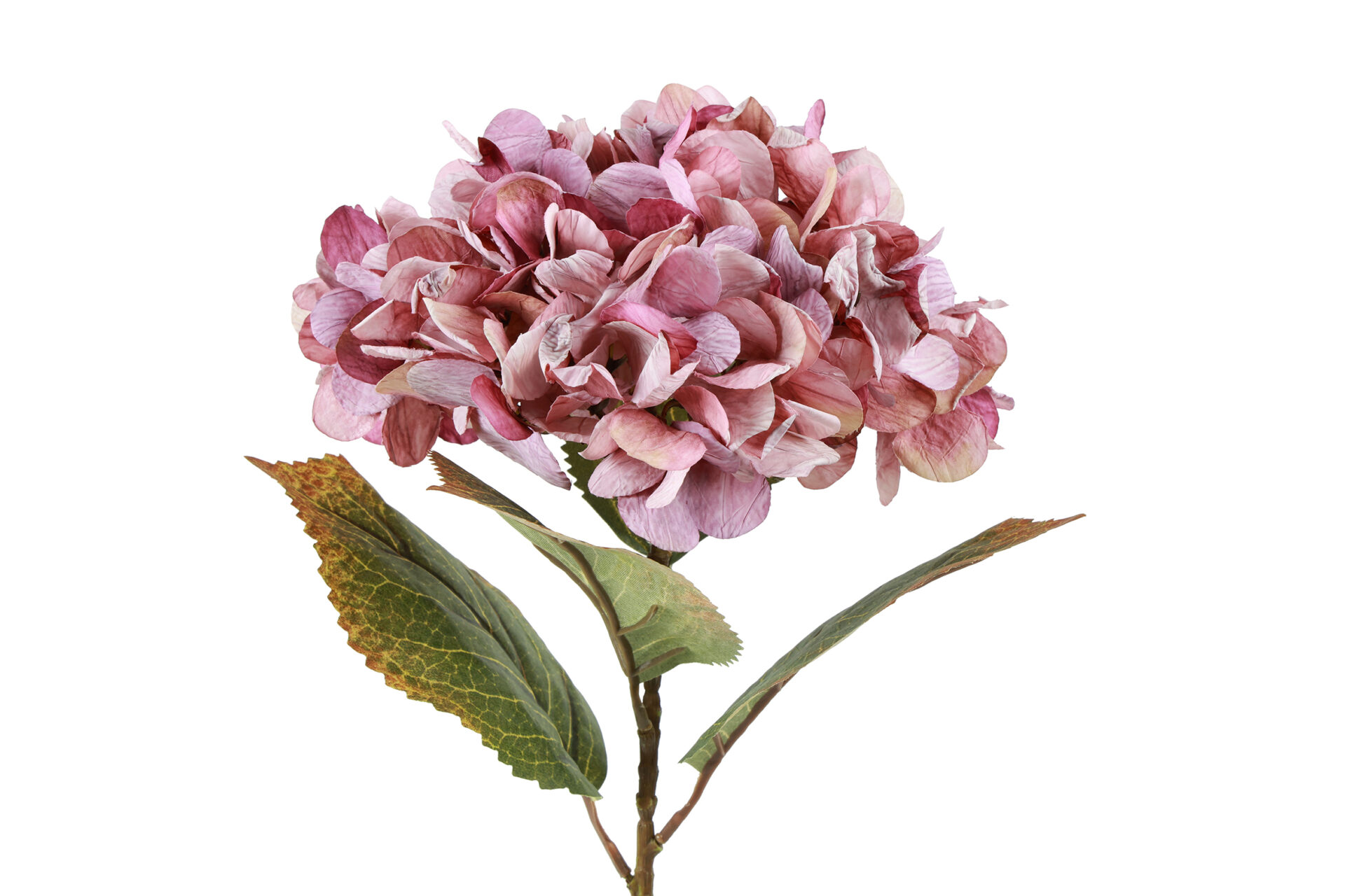 Hortensia – rosa, 64 cm