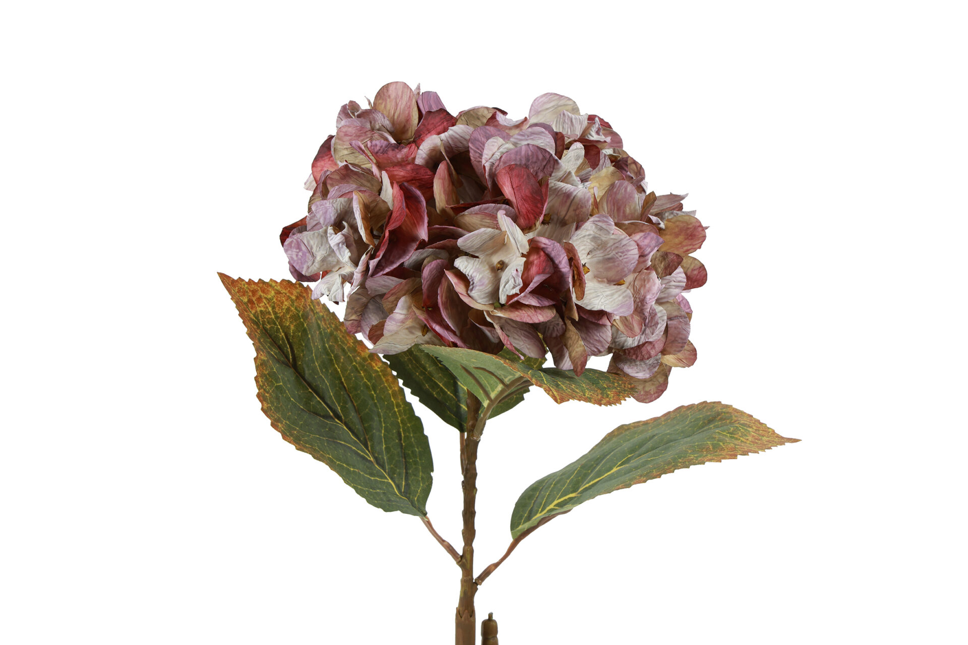 Hortensia – lys lilla, 64 cm